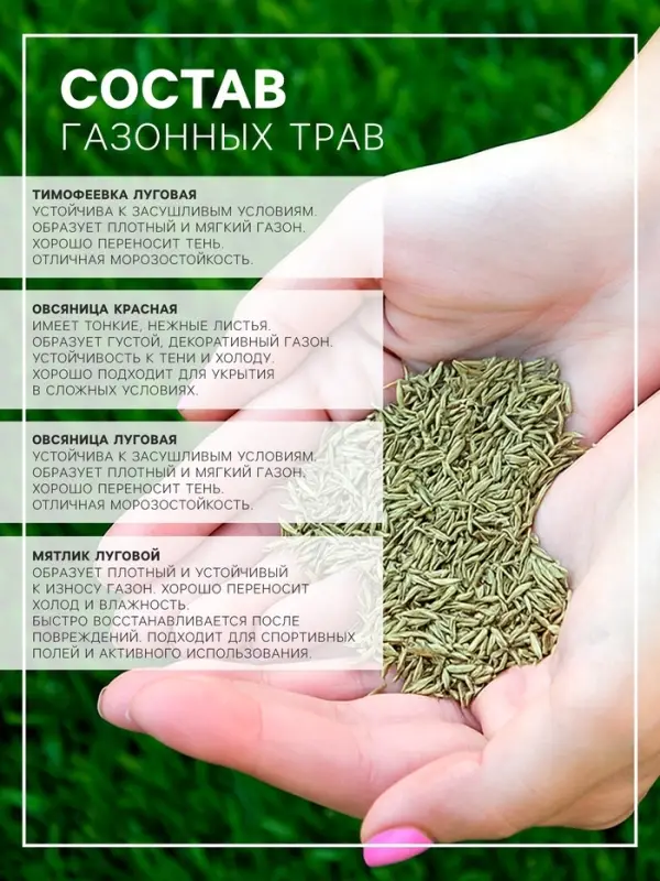 Семена газона Настоящий Низкорастущий, 0,3 кг