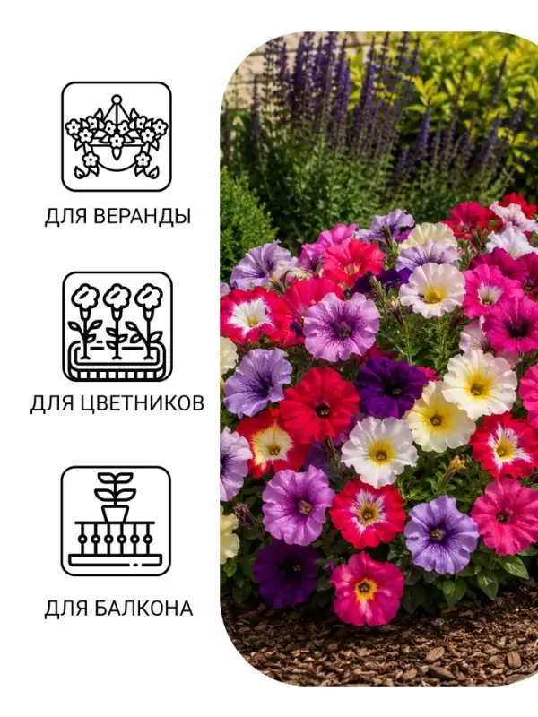 Семена цветов Петуния &laquo;Гибридная смесь&raquo;, 0.05 г, однолетник, &laquo;Сембат&raquo;