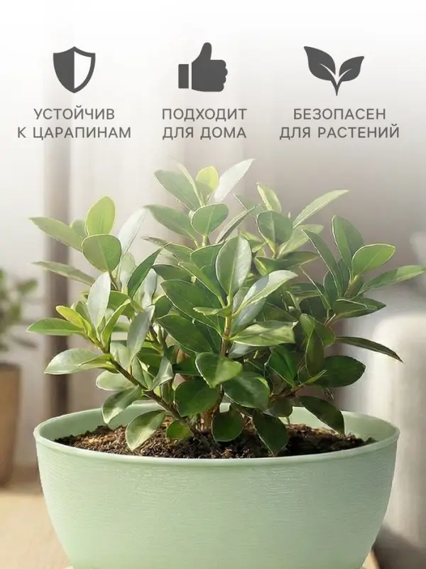 Горшок для цветов &laquo;Фиалочка&raquo;, 800 мл, d=14 см, h=8 см, пластиковый, зелёный