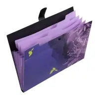 Папка А4 Flower Art, 5 отделений, 600 мкм, на кнопке, с рисунком