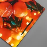 Пакет подарочный новогодний ламинированный, &laquo;Новогодние мандарины&raquo;, 26&times;12&times;32 см