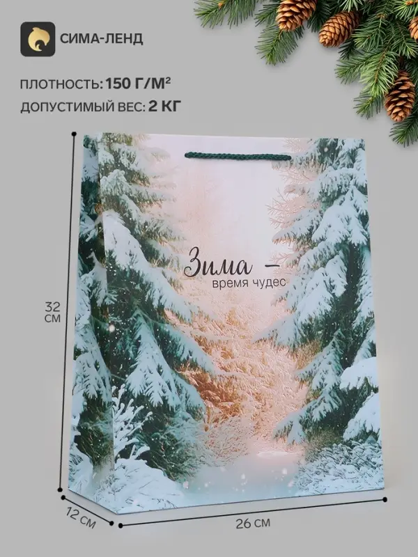 Пакет подарочный &laquo;Зима - время чудес&raquo;, 26&times;12&times;32 см