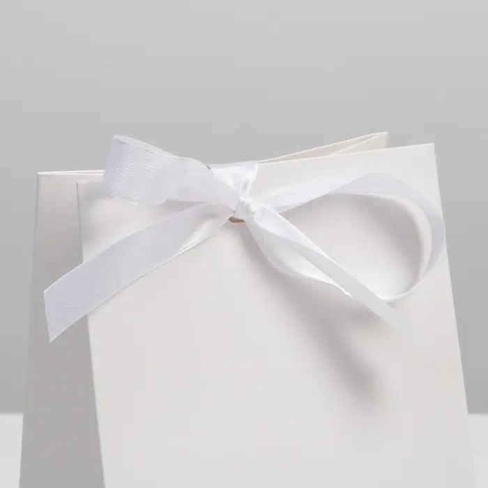 Пакет подарочный с лентой, упаковка, «Белый», 13 х 19 х 9 см