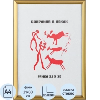 Рамка пластиковая 590 21x30 (A4) золото