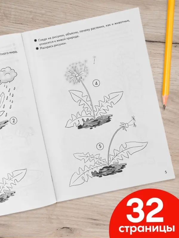 Рабочая тетрадь для детей 5-6 лет &laquo;Знакомимся с окружающим миром&raquo;, Бортникова Е.