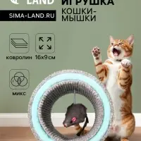Игрушка-когтеточка &laquo;Кошки-мышки&raquo;, 16&times;9 см, ковролин, цвет МИКС