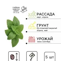 Семена Мелисса лекарственная &laquo;Апельсинка&raquo;, 5 шт., &laquo;Аэлита&raquo;