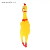 Курица, кричит, в сетке