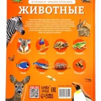Энциклопедия в твёрдом переплёте "Животные", 128 страниц