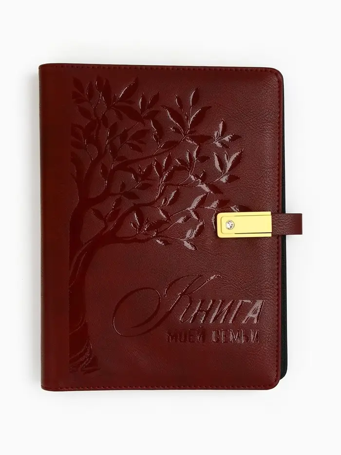 Родословная книга со встроенной флешкой 16 Gb &laquo;Книга всей семьи&raquo;, 17.5&times;23 см