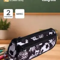 Пенал школьный на молнии Calligrata &laquo;Футбол&raquo;, 2 отделения, МИКС