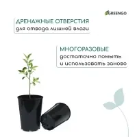 Горшок для рассады, для роз, 2 л, d = 14 см, h = 18 см, пластик, чёрный, Greengo
