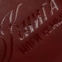 Родословная книга со встроенной флешкой 16 Gb &laquo;Книга всей семьи&raquo;, 17.5&times;23 см