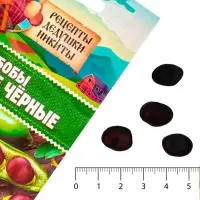 Семена Бобы "Русские черные", 2 г
