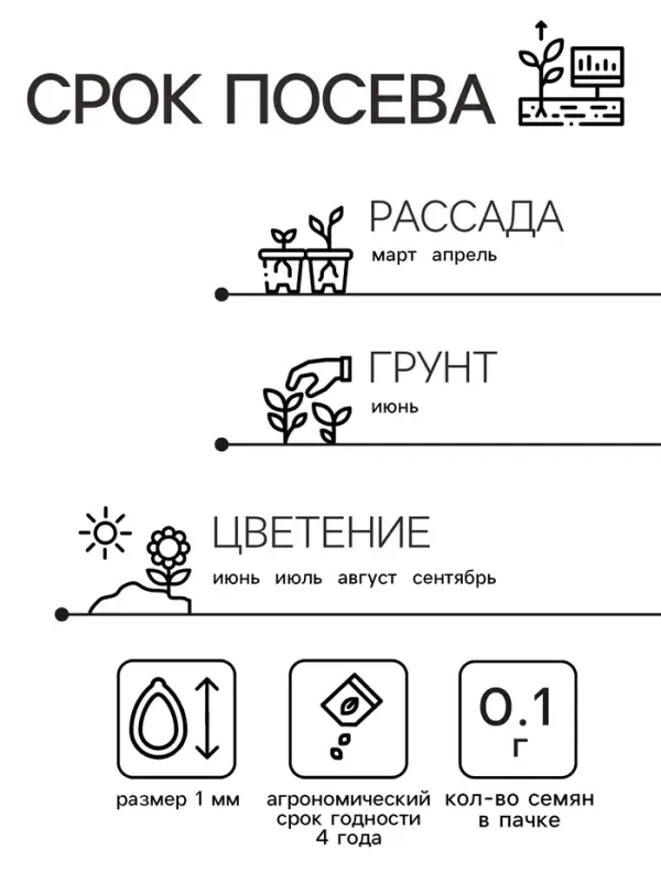 Семена Агератум  Семена Агератум "Розовый Шар", ц/п,  0,1 гр.