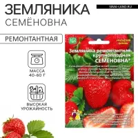 Семена Земляника &laquo;Семёновна&raquo;, 10 шт., ремонтантная, крупноплодная, &laquo;Уральский дачник&raquo;