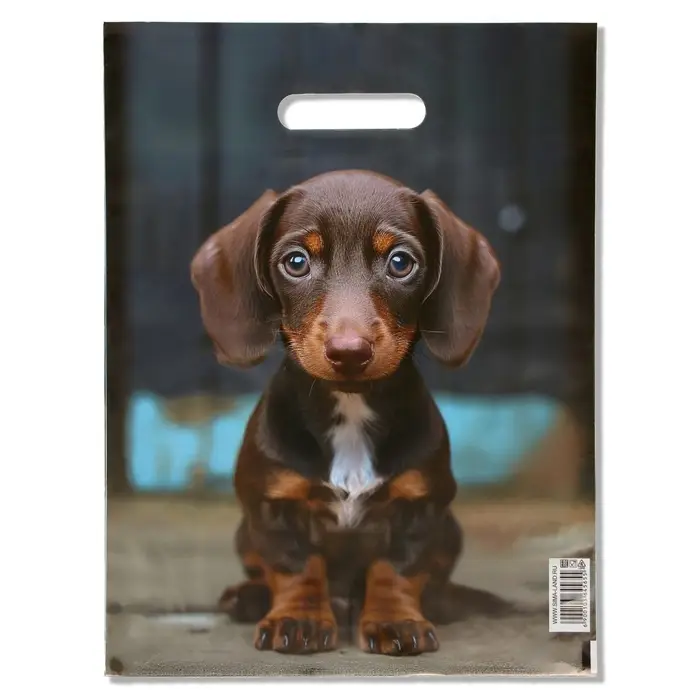 Пакет подарочный «Милая такса», полиэтиленовый с вырубной ручкой, 30×40 см 50 мкм