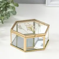 Шкатулка стекло с металлическим каркасом "Сухоцветы" многогранник 11,3х13х5,7 см