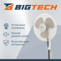 Вентилятор напольный BigTech DWBF001