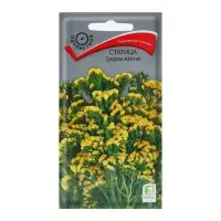 Набор семян Статица "Суприм желтая", 5 шт. Набор семян Статица "Суприм желтая", 5 шт.