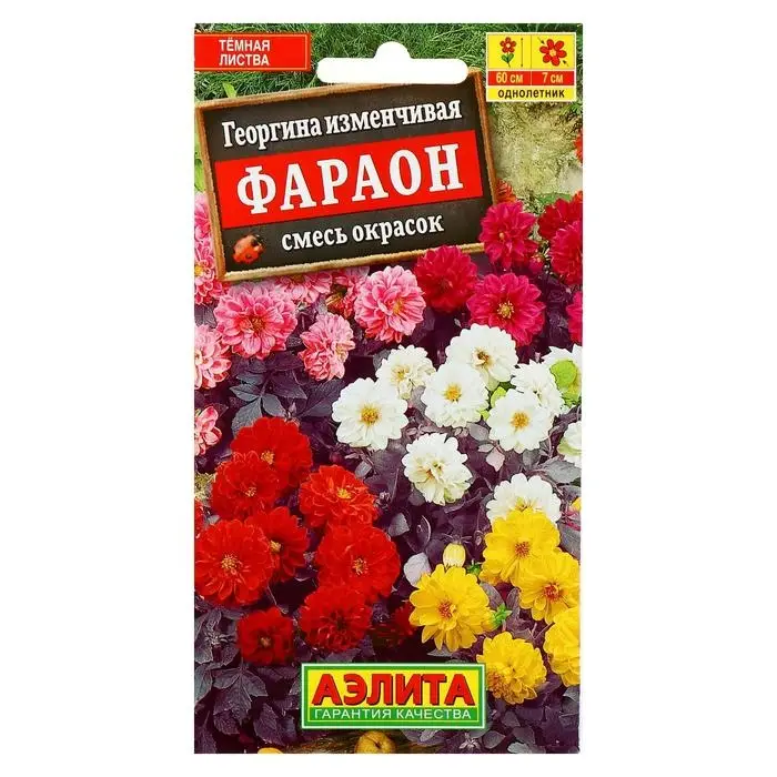 Семена цветов Георгина  Семена цветов Георгина "Фараон", смесь окрасок, О, 0,3 г