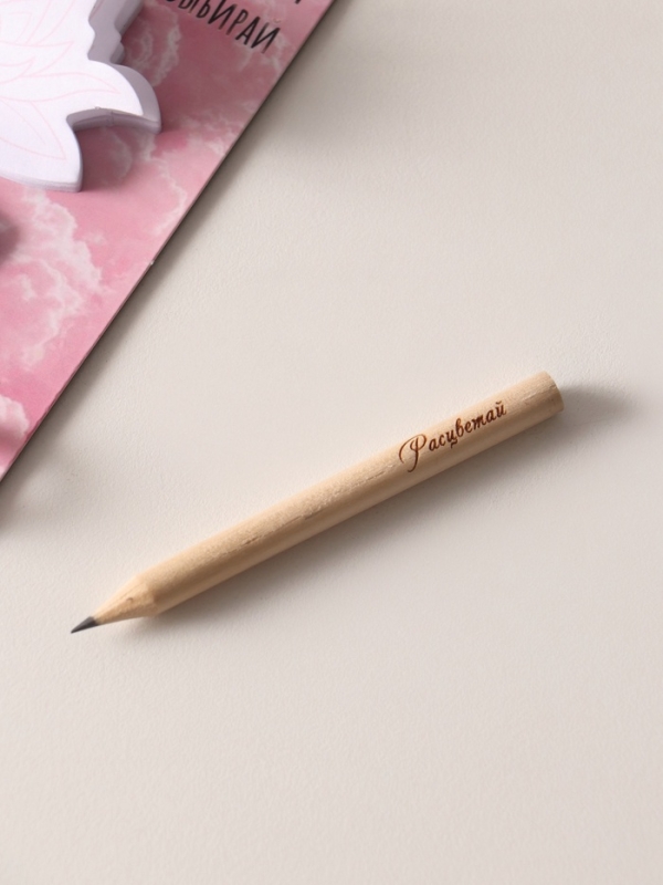 Магнит с блоком для записей и карандашом  Магнит с блоком для записей и карандашом "5 важных правил" 9х13 см