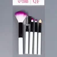 Набор кистей для макияжа COLOR POWER, 5 шт., чёрный, белый