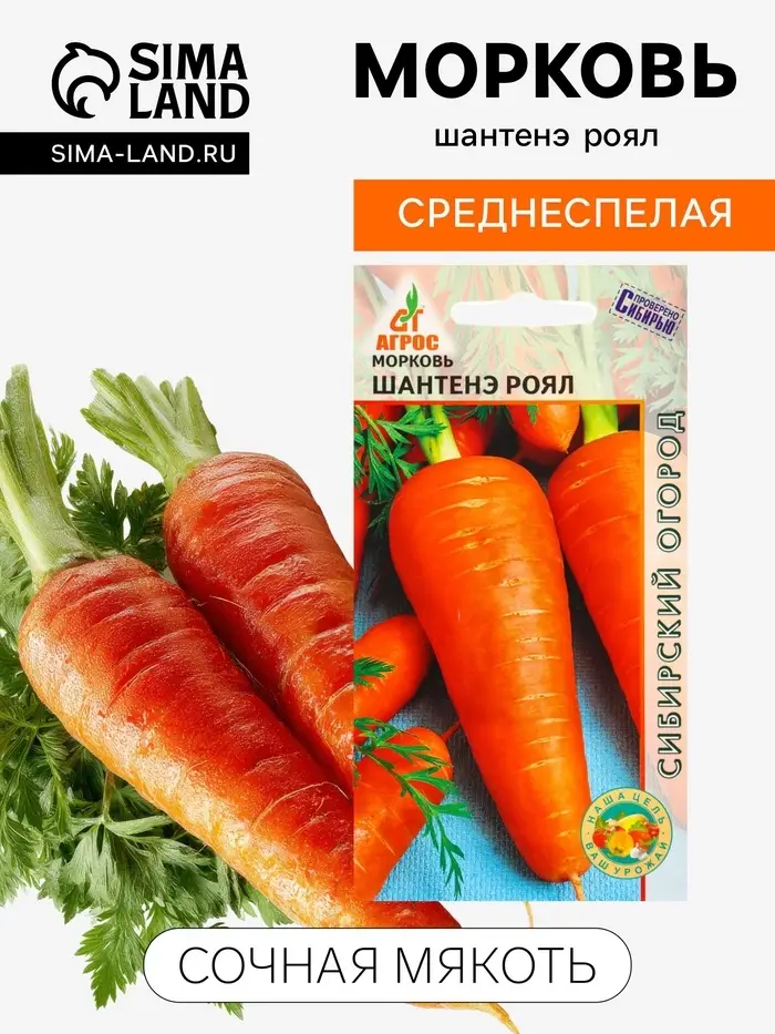 Семена Морковь &laquo;Шантенэ Роял&raquo;, 1 г, &laquo;Агросс&raquo;
