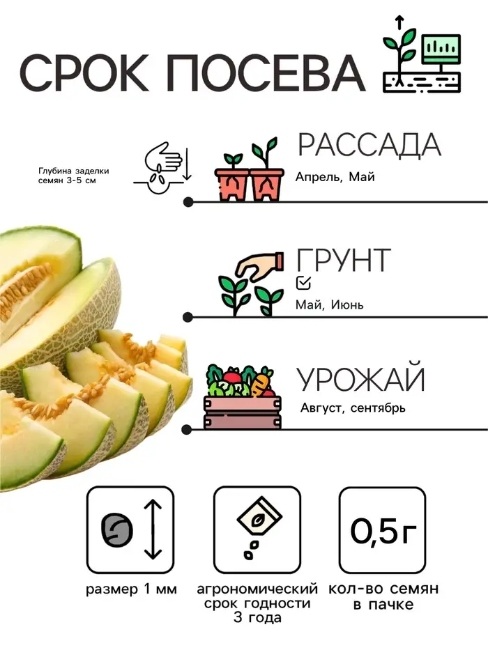Семена Дыня &laquo;Колхозница 749/753&raquo;, 0.5 г, &laquo;Сембат&raquo;