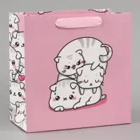 Пакет подарочный ламинированный квадратный, упаковка, &laquo;Котики&raquo;, 22&times;22&times;11 см