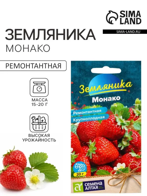 Семена Земляника &laquo;Монако&raquo;, ремонтантная, крупноплодная, &laquo;Семена Алтая&raquo;, 0.01 г