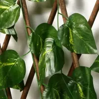 Ограждение декоративное &laquo;Лист берёзы&raquo;, 120&times;40 см, Greengo