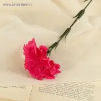Цветы искусственные &laquo;Гвоздика розовая&raquo;, h=40 см