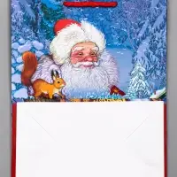 Пакет подарочный новогодний ламинированный, &laquo;Дед мороз&raquo; , 18&times;10&times;22.3 см