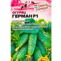Семена Огурец &laquo;Герман&raquo; F1, 5 шт., &laquo;Семена Алтая&raquo;, Seminis, Голландские семена