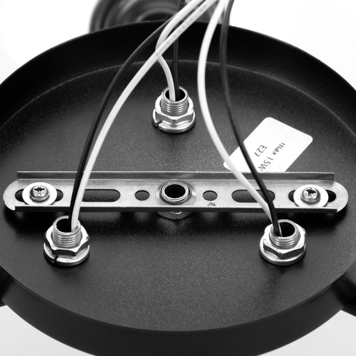 Люстра Люстра "Онлайн" (цветок) 3х15Вт Е27 МОДЕЛЬ: BR 00235 черный/прозрачный