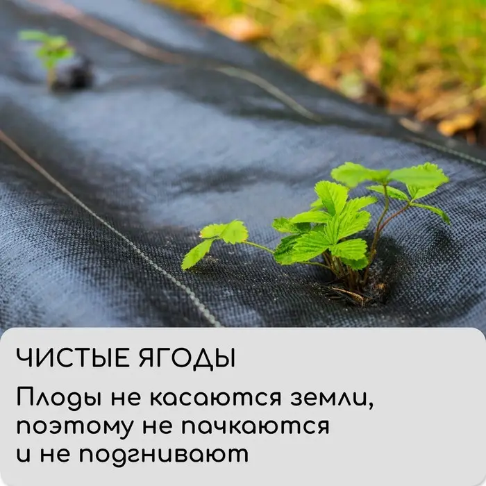 Агроткань застилочная, с разметкой, 5&times;1.6 м, плотность 100 г/м&sup2;, полипропилен, Greengo, Эконом 50%