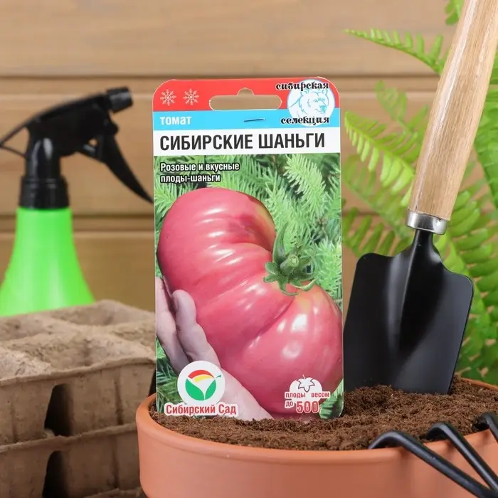 Семена Томат Семена Томат "Сибирские шаньги", среднеранний, индетерминантный,высокорослый, 20 шт