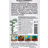 Набор семян Огурец "Конни" F1, среднеранний, партенокарпический, 5 шт.