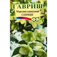 Семена цветов Морозник кавказский Спринг (лимонно-зеленый)* 0,1 г DHп