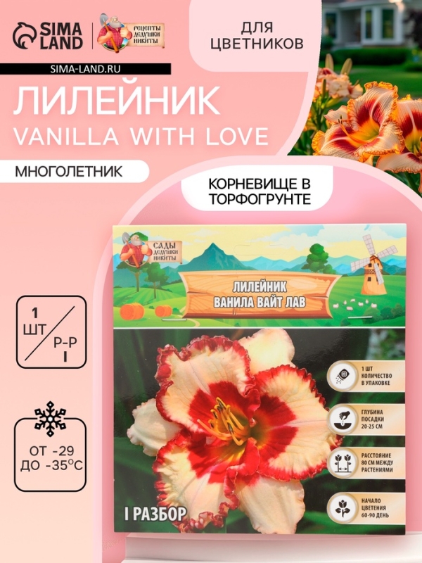 Лилейник Vanilla With Love, многолетник, корневище в пакете с торфогрунтом, р-р I, 1 шт.