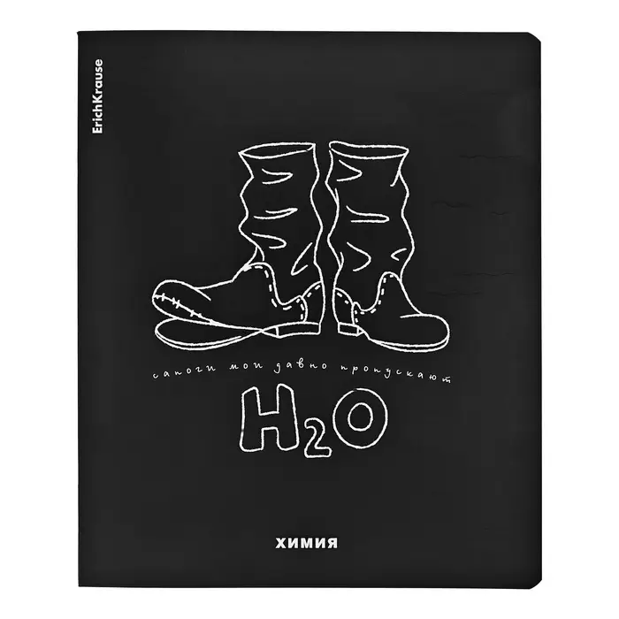 Набор предметных тетрадей ErichKrause &laquo;Зри в корень&raquo;, 12 предметов, 48 листов, со справочным материалом, пластиковая обложка