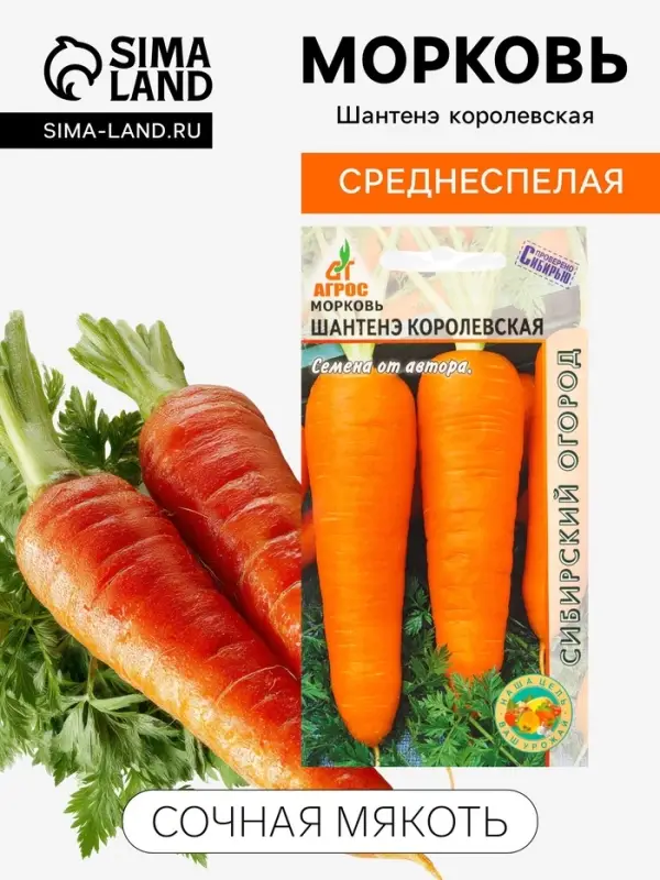 Семена Морковь &laquo;Шантенэ Королевская&raquo;, 2 г, &laquo;Агросс&raquo;
