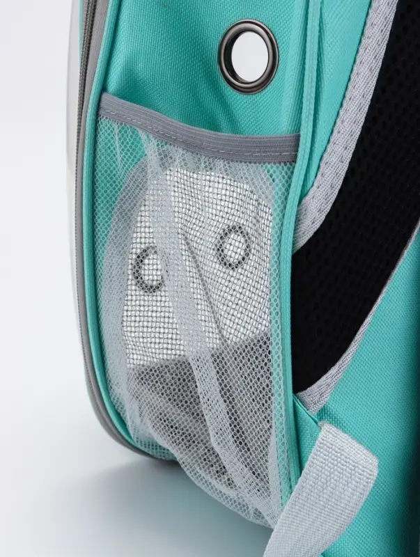 Рюкзак для переноски животных прозрачный, 31 х 28 х 42 см, бирюзовый Рюкзак для переноски животных прозрачный, 31 х 28 х 42 см, бирюзовый