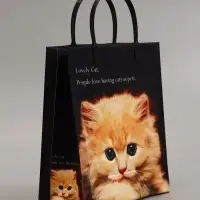 Пакет &laquo;Котенок&raquo;, мягкий пластик, 26&times;23 см, 100 мкм