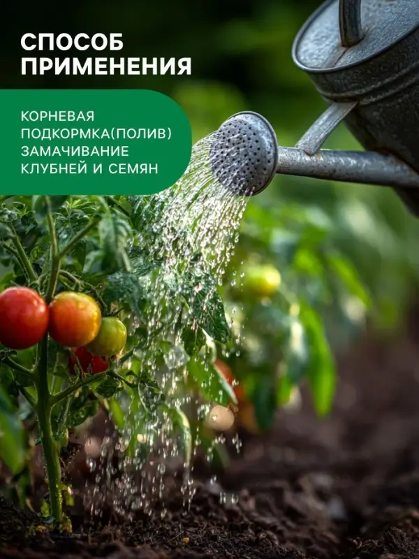 Органическое удобрение Биогумус Универсальное, концентрат, Ивановское, канистра, 3 л