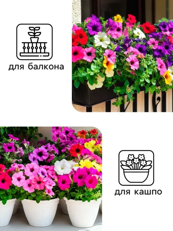 Семена цветов Петуния "Балконная", 0,05 г
