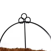 Кашпо настенное d=20 см, с кокосовым вкладышем