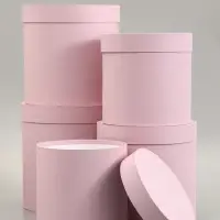 Набор круглых коробок 5 в 1 &laquo;Краски&raquo;, пыльная роза, 25&times;25&times;25 - 19&times;19&times;19 см