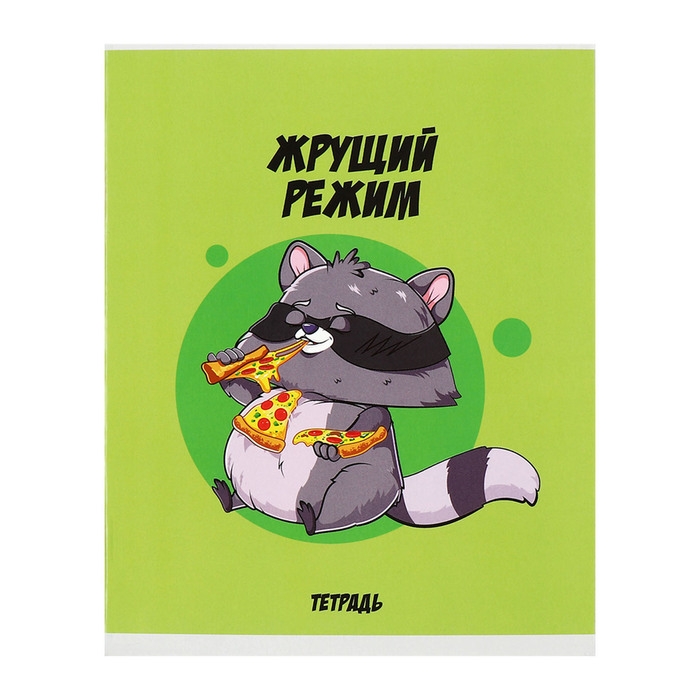 Комплект тетрадей из 5 штук, 48 листов в клетку Calligrata  Комплект тетрадей из 5 штук, 48 листов в клетку Calligrata "Дерзкий енот", обложка мелованный картон, блок офсет